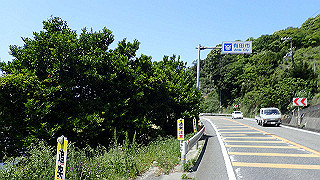 p5050190_thumb.jpg