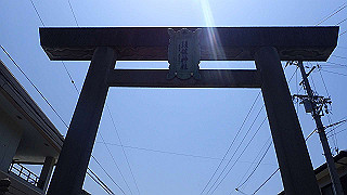 p5050203_thumb.jpg