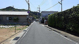 p5050205_thumb.jpg