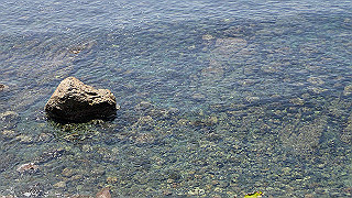 p5050214_thumb.jpg