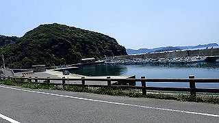 p5050221_thumb.jpg