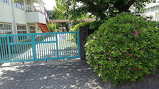 p5050234_thumb.jpg