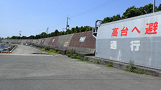 p5050268_thumb.jpg