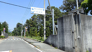 p5050269_thumb.jpg