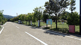 p5050272_thumb.jpg