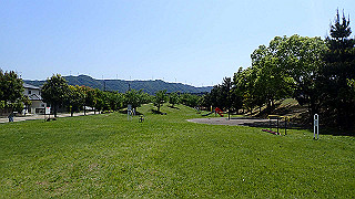 p5050273_thumb.jpg