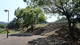 p5050274_thumb.jpg