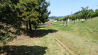 p5050275_thumb.jpg