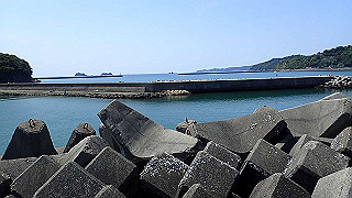 p5050276_thumb.jpg