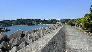 p5050277_thumb.jpg