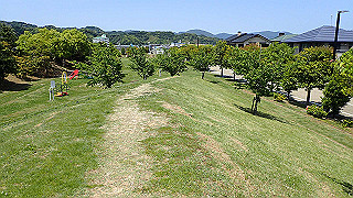 p5050278_thumb.jpg