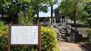 p5050281_thumb.jpg