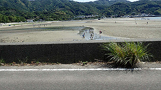 p5050294_thumb.jpg