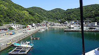 p5050317_thumb.jpg
