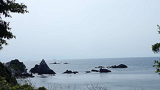 p5050321_thumb.jpg