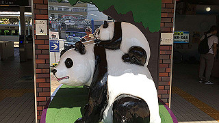 img_0419_thumb.jpg