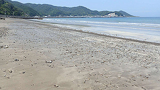 p5140123_thumb.jpg