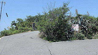 p5140140_thumb.jpg