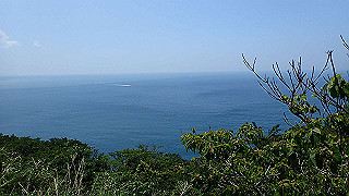 p5140143_thumb.jpg