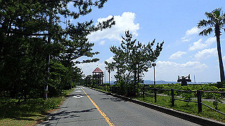 p5140156_thumb.jpg