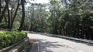 p5140158_thumb.jpg