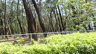 p5140159_thumb.jpg