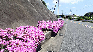 p5140168_thumb.jpg