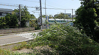 p5140181_thumb.jpg