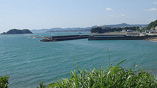 p5140193_thumb.jpg