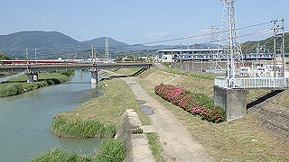 p5140195_thumb.jpg