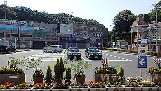 p5140210_thumb.jpg