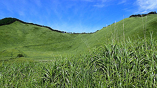 p8170272_thumb.jpg