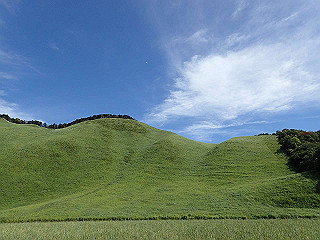 p8170274_thumb.jpg