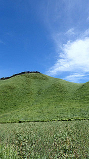 p8170275_thumb.jpg