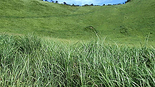 p8170280.mov_thumb.jpg