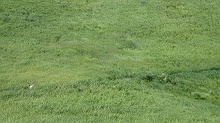 p8170282_thumb.jpg