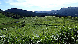 p8170283_thumb.jpg