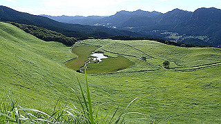 p8170285_thumb.jpg