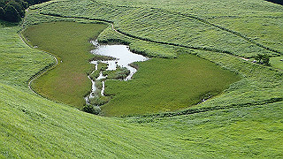 p8170286_thumb.jpg