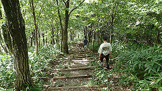 p8170299_thumb.jpg
