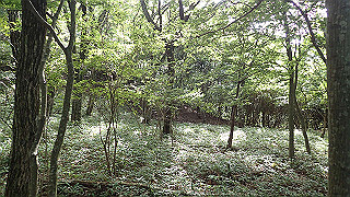 p8170300_thumb.jpg