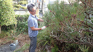 p8180305_thumb.jpg