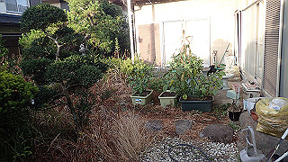 p8180307_thumb.jpg