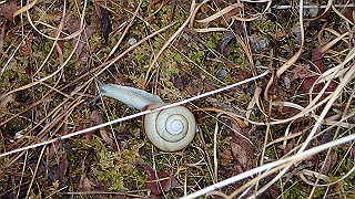 p8180308_thumb.jpg