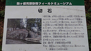 p8180339_thumb.jpg
