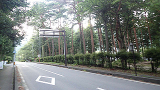 p8180343_thumb.jpg