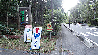 p8180344_thumb.jpg