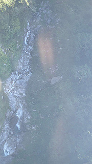 p8190357_thumb.jpg