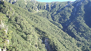 p8190363.mov_thumb.jpg