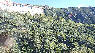 p8190366.mov_thumb.jpg